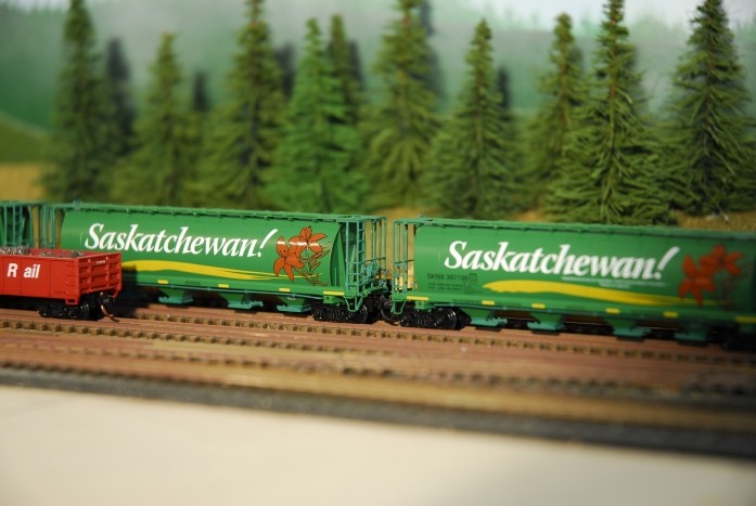 Sandro Sask Layout Pictures 7